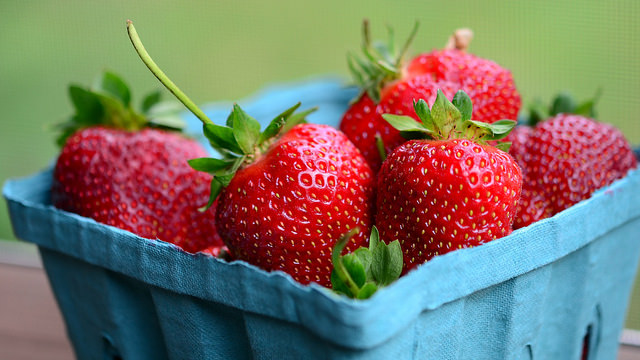 Feeling the Heat, Arbors at Arundel Preserve? Cool Off With Something Sweet at Tutti Frutti in Hanover