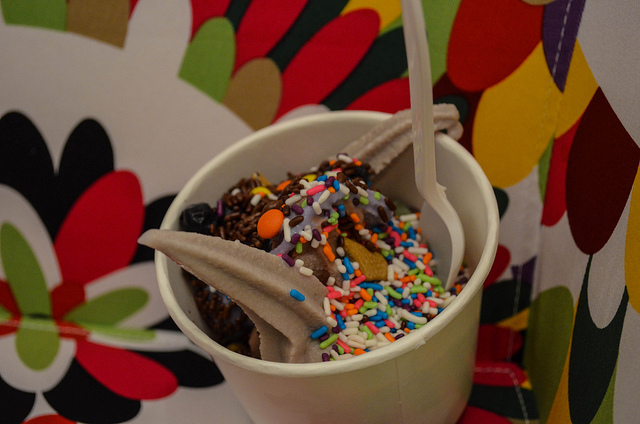 Satisfy Your Frozen Yogurt Craving at Menchies