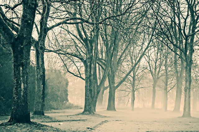 Don’t Miss the Jingle Bell Run in Ellicott City This Sunday